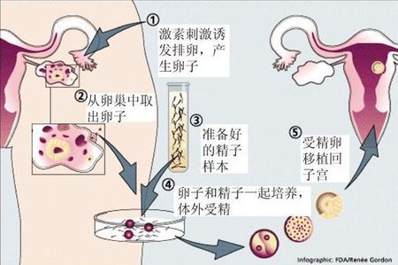 医疗团队